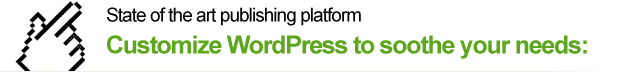 custom wordpress developers