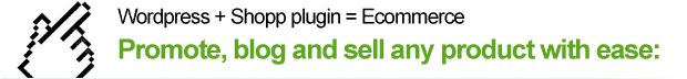 WordPress ecommerce