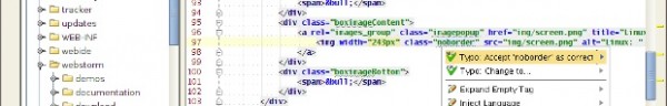 Best development IDE for web on Linux