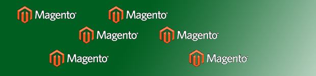 How to set multiple stores/websites with one magento installation on different domains