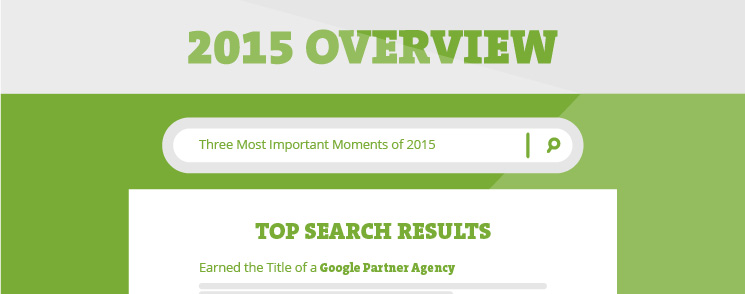 2015 Overview in Infographics