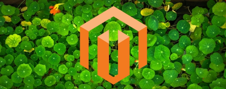 Bypassing Magento 2 layout update restrictions in Admin