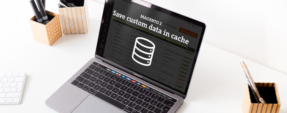 How to save custom data in cache in Magento 2