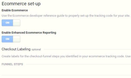 Ecommerce setup in google analytics