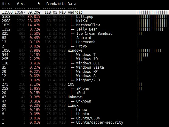 GoAccess: OS version distribution