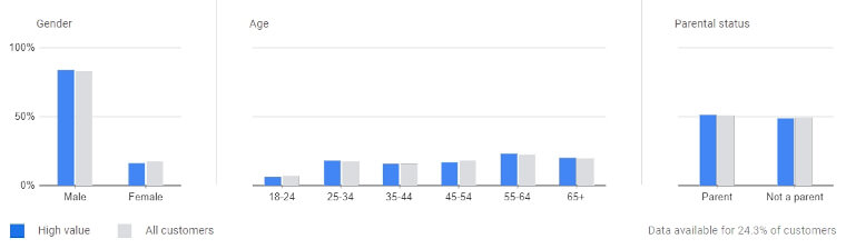 customer value report demographics example 3